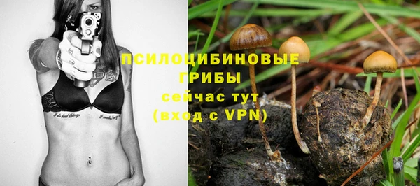 Альфа ПВП Абаза