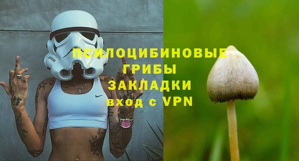 Альфа ПВП Абаза