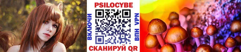 Галлюциногенные грибы Psilocybine cubensis  Полярный 
